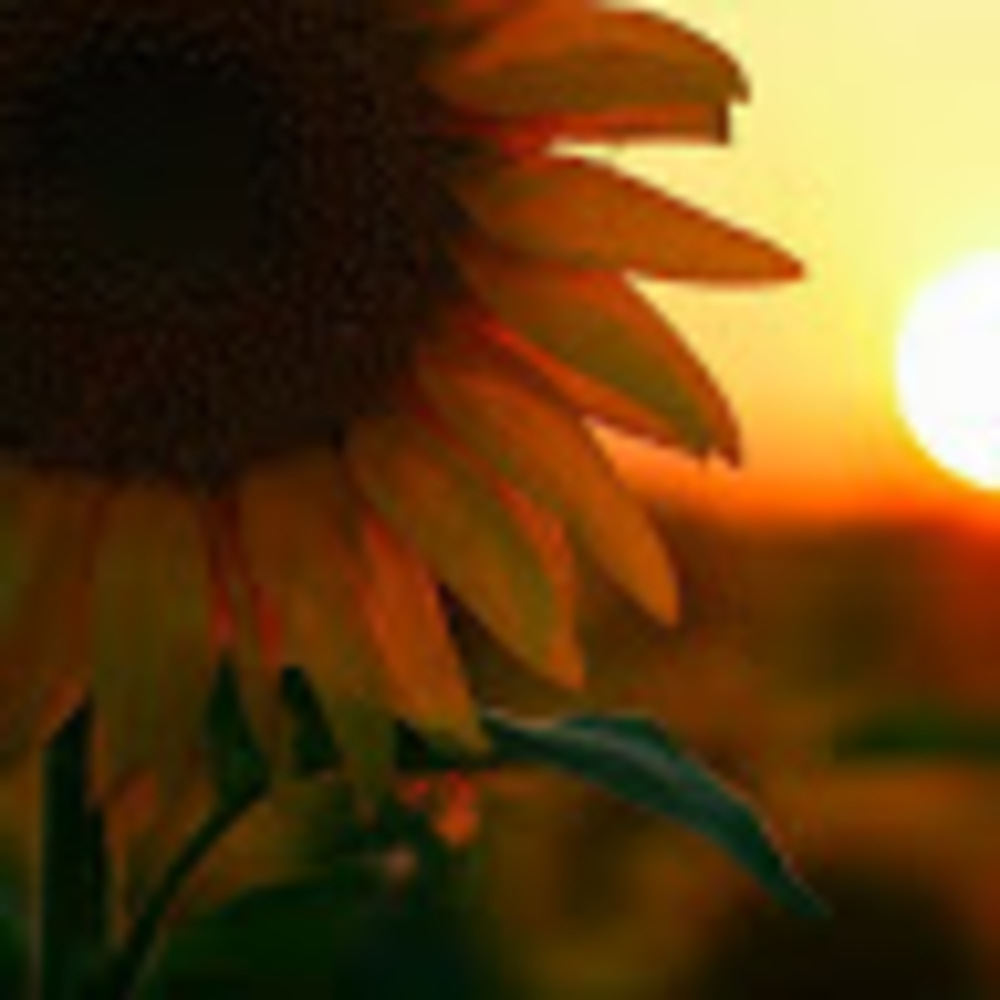 Meet your Posher, Briseida